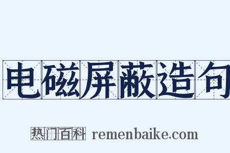 电磁屏蔽造句是什么意思的图片